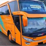 Harga sewa bus di kota Kupang kreatif